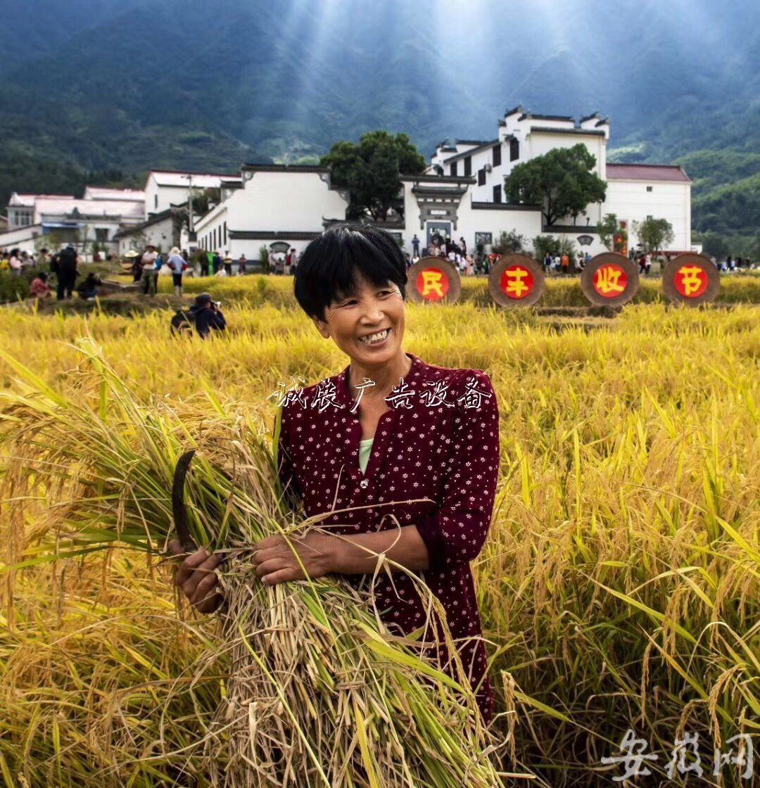 石臺(tái)農(nóng)民歡慶“中國學(xué)校宣傳欄農(nóng)民豐收節(jié)” （組圖）