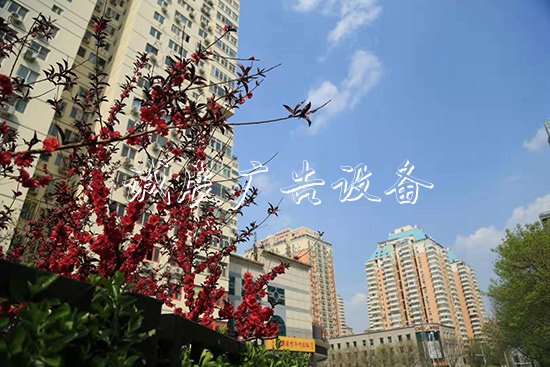 大屯街道創(chuàng)建花園式社燈箱區(qū)居民推窗見(jiàn)綠出門賞景