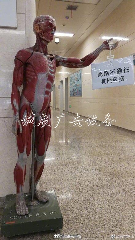 醫(yī)院拿“扒皮人體”當(dāng)路路牌牌 醫(yī)生:?jiǎn)柭返娜藴p少九成