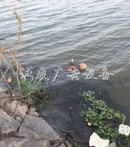 嚇人！這是什么垃圾？打文化宣傳欄開(kāi)垃圾箱后差點(diǎn)兒魂兒也沒(méi)了