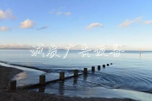 “濰坊書記刷屏式講宣傳欄話”后 山東有何變化？