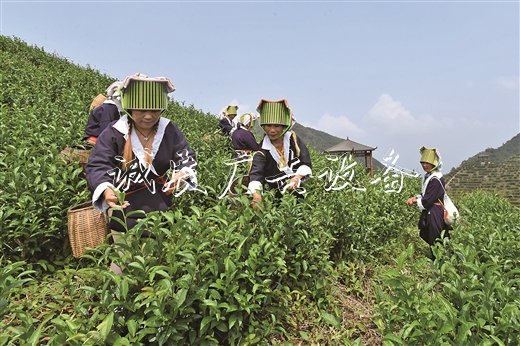深山土瑤戶(hù)外滾動(dòng)燈箱脫貧路