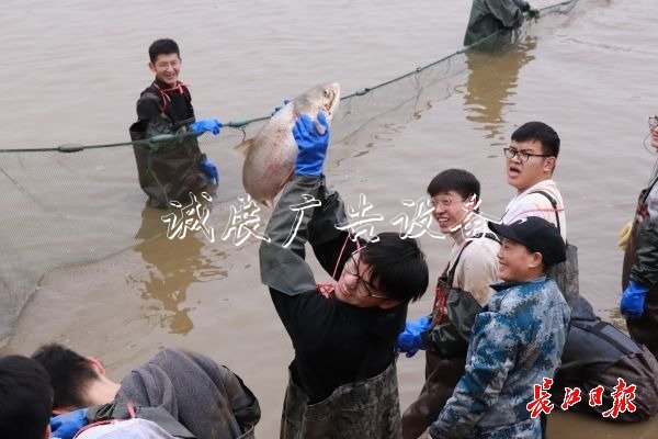 “舌尖上的武科大社區(qū)宣傳欄”美食評(píng)比大賽開賽