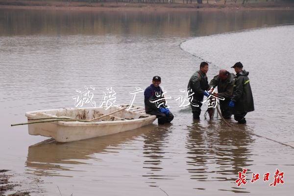 “舌尖上的武科大社區(qū)宣傳欄”美食評(píng)比大賽開賽