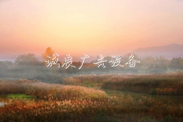 西溪濕地造福杭州路燈燈箱城，他見證10年巨變