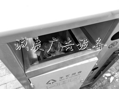 鄭州街頭垃圾箱只有兩種分類(lèi)廣告燈箱 路上吃剩的早餐扔進(jìn)哪種垃圾箱？
