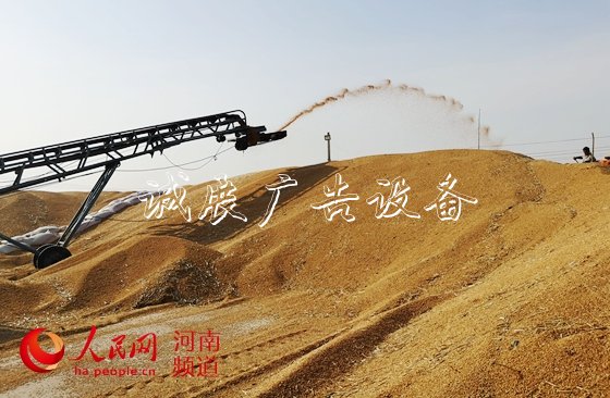 讓"中國(guó)碗"多盛"河南糧"　　8600萬(wàn)畝小麥顆粒歸倉(cāng)，今年又是一個(gè)豐收年！近年來，<a href=