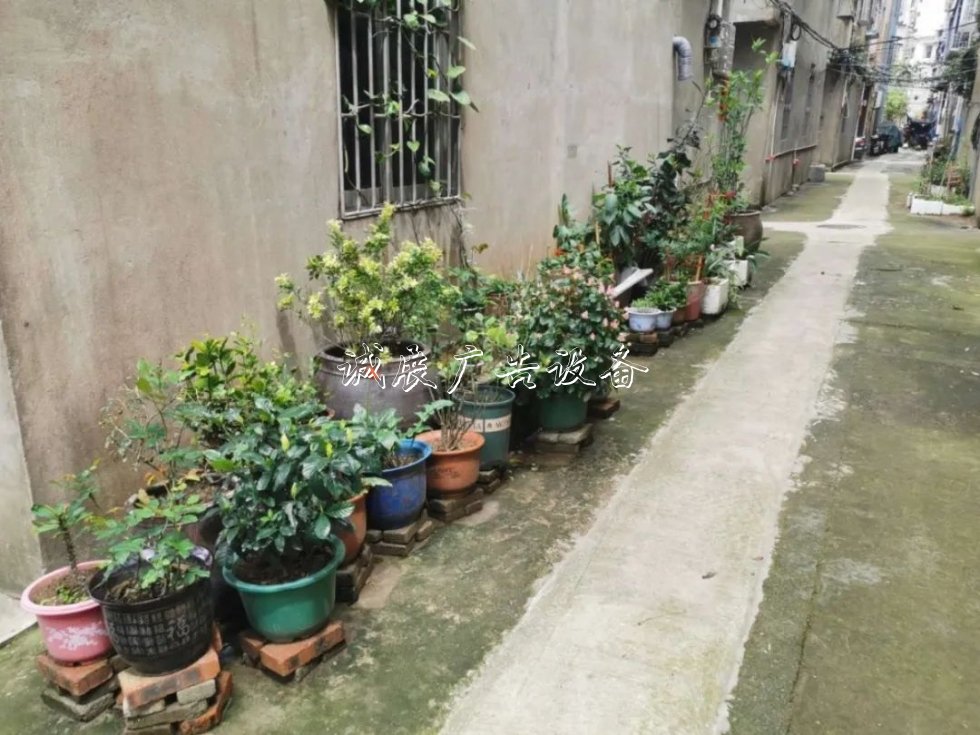 尋跡沿海小鎮(zhèn)，看長(zhǎng)樂(lè)這個(gè)社區(qū)美麗“變身”！