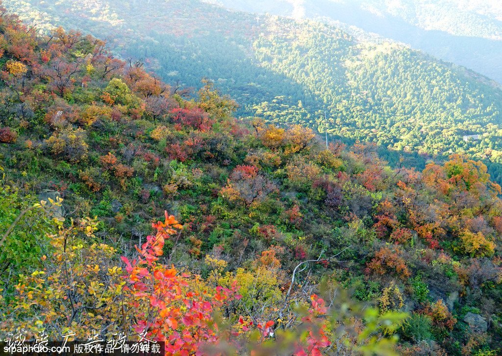北京旅游文化宣傳欄網(wǎng)資源庫