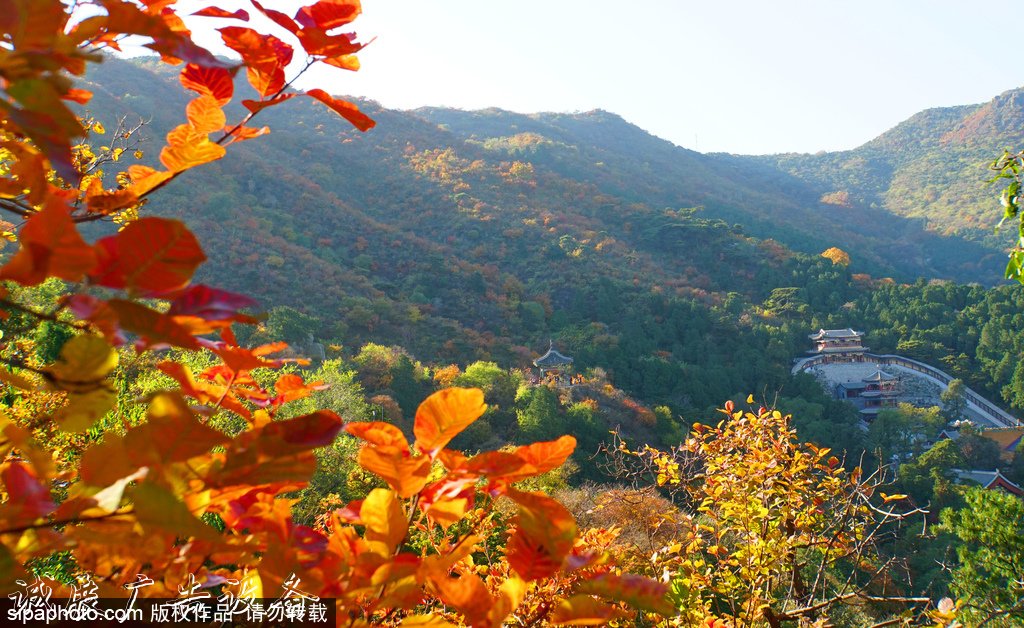 北京旅游文化宣傳欄網(wǎng)資源庫