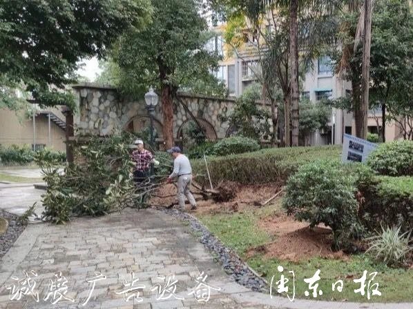 首批82個(gè)垃圾分類(lèi)屋春指路牌燈箱節(jié)前建成！有你家小區(qū)嗎？