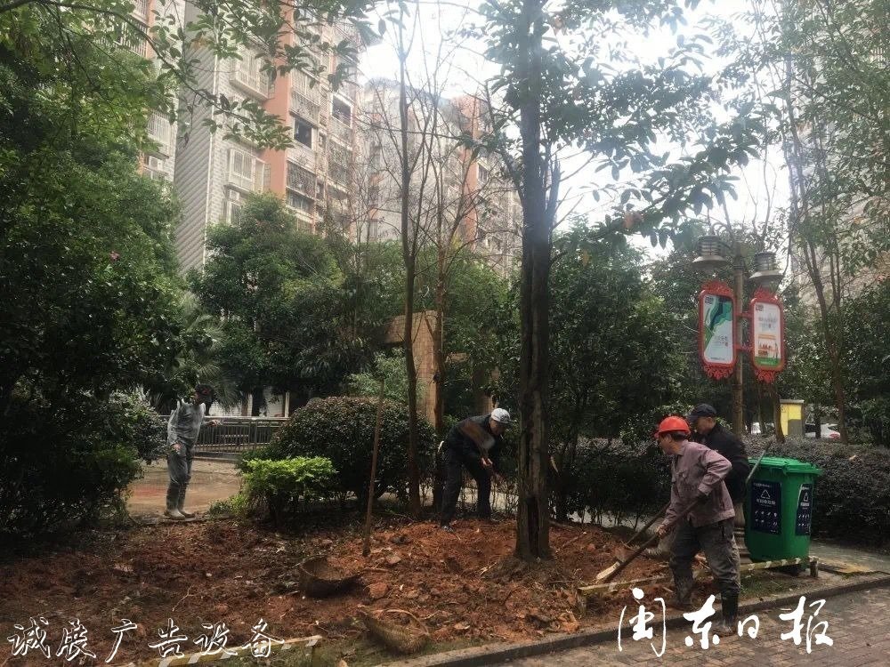 首批82個(gè)垃圾分類(lèi)屋春指路牌燈箱節(jié)前建成！有你家小區(qū)嗎？