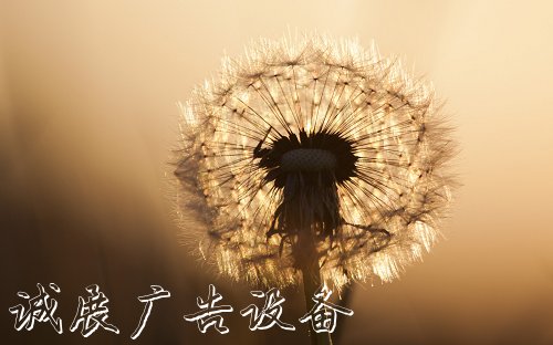 分類(lèi)亭